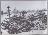 White European Holocaust, Update 7